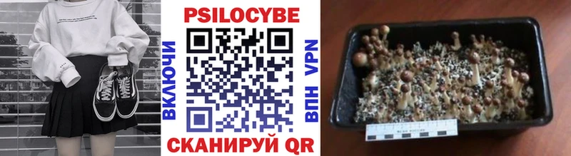 Галлюциногенные грибы мицелий  как найти закладки  Харабали 